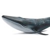Wei Long Sea Animals Simulation Ocean Whale Toy Model Figures Toy Model Birthrday Gift Party School Project Favors Toys for Kid Boys Girls(Blue Whale)