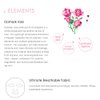 My Beauty Diary-Damask Rose Facial Mask, Softening and Brightening Collagen Essence Face Sheet Mask for Natural Look(8 Combo Pack)