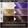 Punky Violet Semi Permanent Conditioning Hair Color | Non-Damaging Hair Dye | Vegan, PPD and Paraben Free | Vibrant Hair Color | Easy To Use | Lasts Up To 35 washes | 3.5oz