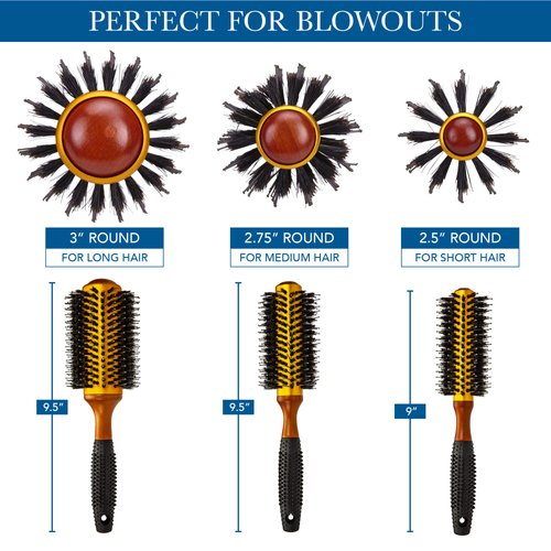 Medium Round Blow Dry Brush - Boar Bristle, Thermal Ceramic Barrel, Professional Anti-Static Roller Hair Brush for Styling and Blow Drying - 14 Row, For Medium to Long Hair - By Cantor