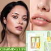 DuoZeng Lip Plumper Set,Lip Plumper Oil Gloss Moisturizing Lip Plumper Lip Care Serum,Hydrating Plump Gloss Reduce Fine Lines,Lip Plumper for Day & Night Use Set A（2Pcs）
