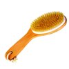 Natural Boar Bristle Body Brush with Wooden Handle by Spa Destinations for wet or dry brushing bath and shower