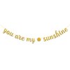 Dalaber You are My Sunshine Party Banner -Wedding, Birthday, Baby Shower Party Decorations - Kids Boys Girls Birthday Party Supplies