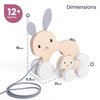 Bigjigs Toys FSC Certified Bunny & Baby Pull Along Toy - Eco-Friendly Rabbit Pull Along with Cord & Baby Bunny Push-Along, Quality Pull Along Toys for 1 Year Olds, Wooden Baby Toys