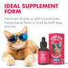 Liquid Iron Supplement for Cats & Dogs B12 + B-Complex + Probiotics Liquid Iron Vitamin Drops for Anemia & Low Energy Promotes Red Blood Cell Health All Ages & Breeds Bacon Flavor 4 oz