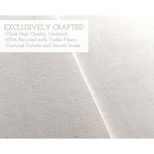 Black Tabby Studio Paper Plane Thank You Cards - 24 Greeting Cards with Envelopes