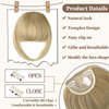 Fanguilar Bangs Hair Clip in Bangs Hair Extensions Hair French Bangs Hair Clip on Bangs Hair Fake Bangs Clip in With Temples Hairpieces for Women Natural for Daily Wear