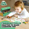Life Cycle Science Kit Montessori Realistic Figurine, Kids Animal Matching Game with Frog, Ladybug and More Includes 24-Piece, Fun Learning Education Toys Stocking Stuffers for Children 3 4 5 6 7 8