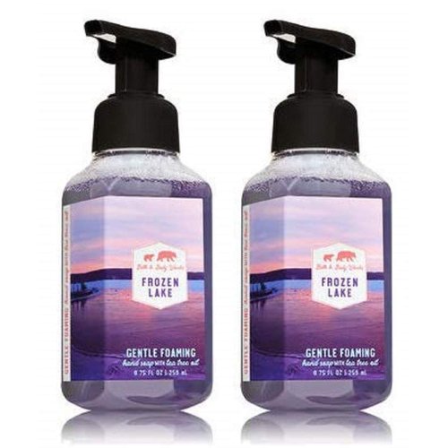 Bath and Body Works 2 Frozen Lake Gentle Foaming Hand Soap. 8 Oz