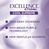 L'Oreal Paris Cool Supreme Permanent Hair Color, Ash, Ultra Ash Light Brown 6UA