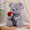Ruzucoda Plush Teddy Bear with Rose Stuffed Animals Toys Dolls Valentine's Day Gifts for Girls Girlfriend Lover 9 Inches (Brown)