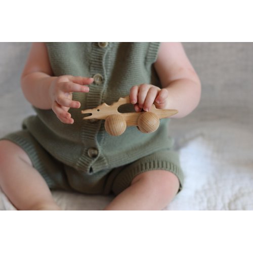 Adventure Awaits! Wooden Animal Rattle Toy Set for Toddlers & Preschoolers | Horse & Alligator Crocodile Wheeled Push and Pull Car 2 Pack