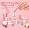 Born Pretty Magnetic Gel Nail Polish Jelly Pink Glitter Cat Magnetic Eye Gel Polish Shimmer Auroras Magnetic Gel Nail Polish LED Gel Nail Art Manicure Kit 6PCS 10ML