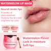 Watermelon Lip Balm, Honey Strawberry Apple Watermelon Lip Mask Overnight, Moisturizing Lip Sleeping Mask, Day & Night Lip Care - Hydrate Repair Prevent Dry (Watermelon）