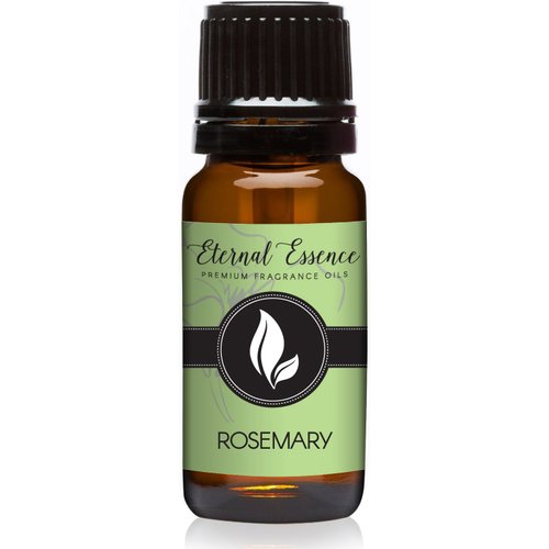 Rosemary Premium Grade Fragrance Oil - 10ml - Scented Oil