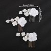 Teyglen Flower Bride Wedding Hair Comb Bridal Flower Hair Piece Floral Headpieces for Bride White Flower Hair Comb Clip Wedding Hair Accessories for Women Bridesmaid Flower Girl (Silver)