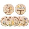 Hatzelou 7Pcs Baby Monthly Milestone Circles, Winnie The Pooh Baby Stuff, Double-Sided Printing Months Baby Milestone Wooden Keepsake, Milestone Wooden Circles Stuff for for Documenting Growth