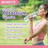 2 Pack Potassium Gummies, Potassium Chloride 1000mg for Adults, Chewable Potassium Supplement for Women & Men, Support Leg Cramps & Muscle Health - Sugar-Free, Vegan,120 Count