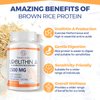 Sundhedsliv Urolithin A Supplement 1500MG Plus Brown Rice Protein, for Exercise Performance & Premium Cellular, Gluten Free, 60 Capsules