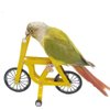 QBLEEV Bird Intelligence Training Toy，Parrot Puzzle Bicycle Toy for Small Medium Bird，Parrot Educational Table Top Trick Prop Toy，Bird Foot Talon Toy for African Grey Cockatoo Eclectus Conures