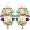 BBjinronjy Bird Toys Conure Toys Hanging Natural Soft Sola Ball Beak Chew Shred Forage Toys for Parrots,Cockatiel,Conure,Love Birds,Parakeets,Budgie and Other Small Birds (Girls)
