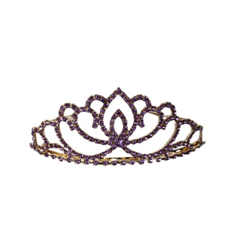 FASOTY Gold Tiara Purple Crystal Crown with Combs Elegant Princess Tiaras and Crowns for Women Girls Rhinestone Headband for Bridal Wedding Birthday Party Prom