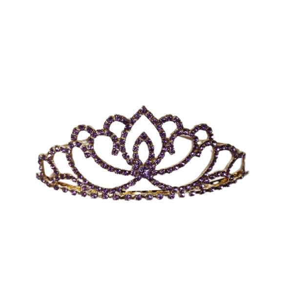FASOTY Gold Tiara Purple Crystal Crown with Combs Elegant Princess Tiaras and Crowns for Women Girls Rhinestone Headband for Bridal Wedding Birthday Party Prom