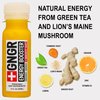+GNGR Energy Booster & Immunity Shot, Cold-Pressed Ginger Shots with Lions Mane, 75mg of Natural Caffeine Green Tea, Turmeric Root, Vitamin D & Zinc for All Natural Immune Support (2 Oz, Pack of 12)