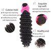 Aatifa Deep Wave Bundles with Closure 9A 100% Unprocessed Virgin Human Hair Deep Wave Bundles with Closure 4x4 Free Part Lace Closure and Bundles Human Hair Extensions (22/24/26+20 Inch)