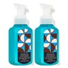 Bath and Body Works Gentle Foaming Hand Soap 8.75 Ounce 2-Pack (Paradise Coconut)