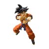 TAMASHII NATIONS - Dragon Ball Z - Son Goku -A Saiyan Raised on Earth-, Bandai Spirits S.H.Figuarts Action Figure