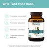 Himalaya Holy Basil Tulsi Herbal Supplement, Stress Relief, Relaxation, Occasional Sleeplessness, Promotes Calm, Energy Support, Ayurvedic, Non-GMO, Vegan, 720 mg, 60 Capsules, 30 Day Supply