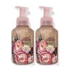 Bath & Body Works Bath and Body Works Gentle Foaming Hand Soap 8.75 Ounce 2-Pack (Chasing Daydreams)