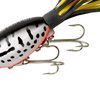 Arbogast Hula Popper Topwater Fishing Lure, Coach Dog Orange Belly, G770 (1 3/4 in, 1/4 oz)