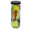 Wilson Titanium All Court Surfaces Tennis Balls