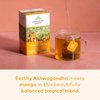 Organic India Tulsi Ashwagandha Herbal Tea - Holy Basil, Stress Relieving & Balancing, Immune Support, Adaptogen, Vegan, USDA Certified Organic, Caffeine-Free - 18 Infusion Bags, 3 Pack