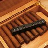 TISFA Cigar Humidifier, Cigar humidor humidifiers, Black Cuboid Humidor Humidifier (S)