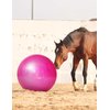 Harrison Howard Howdy Bally Mega Horse Play Ball Anti-Burst Giant Horse Ball Horse Soccer Ball Herding Ball Giant Play Ball for Horses 22 Inch-Magenta