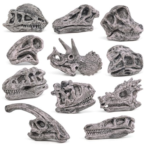Fantarea Ancient Animal Dinosaur Head Skeleton Fossil Assorted Bones Playsets 11 PCS Action Figures Model Toys for Kids