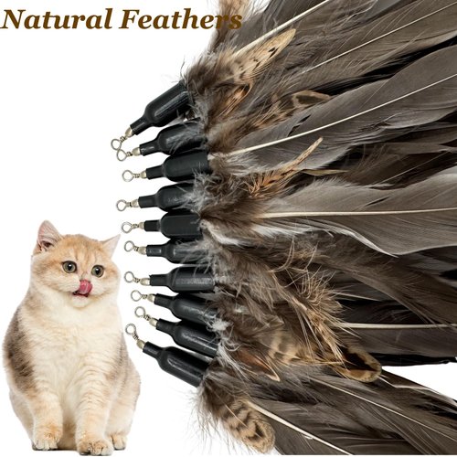 CATDABIR Cat Feather Toys Refills Da Bird Cat Toy, 10 PCS Natural Feather Da Bird Refills, Cat Wand Replacement Feathers for Cat Toys