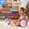 Hopearl Walking Husky Interactive Electronic Pet Musical Dog Toy Remote Control Leash Animated Puppy Singing Barking Wagging Tail Touch Recognition Gifts for Toddlers Birthday, Gray, 9''