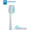 Wellness HP10TX Replacement Heads for HP-STX Sonic Electric Toothbrush (10 Pack)