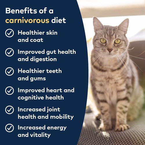 ZIWI Peak Air-Dried Cat Food – All Natural, High Protein, Grain Free & Limited Ingredient with Superfoods (Chicken, 14 oz)