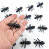 SaktopDeco 30 PCS Big Plastic Ants Black Ants Fake Ant Party Decorations for Practical Jokes Halloween Party