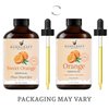 Orange Essential Oil - Huge 4 Fl Oz - 100% Pure and Natural - Premium Grade Essential Oil for Diffuser and Aromatherapy