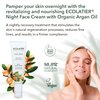 ECOLATIÈR Night Facial Cream Revitalizing & Nourishing Organic Argan Oil - Moisturizer Face Cream, Anti-Aging, Vitamin C, Vegan, 97.7% Natural Ingredients, 1.7 Fl Oz