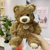 BIUBIULOVE 10Inch Teddy Bear Stuffed Animal, Soft Cuddly Stuffed Plush Bear, Gifts for Kids Baby Toddlers on Baby Shower, Valentine's Day (Dark Brown)