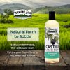 Vermont Castile Soap Peppermint, Gentle Liquid Soap for Sensitive Skin & Natural Body Wash, Organic Hair Shampoo for Oily Hair, Aloe Castile Soap for Men & Women - 16 Oz