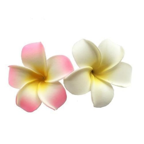 2Pcs White and Pink Flower Hawaiian Frangipani Plumeria Clips and Barrettes Foam Head Flower Party Beach Hair Clip Hair Women's Fashion Clips Hair Accessories 7cm