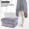 MOONQUEEN 2 Pack Premium Bath Towel Set - Quick Drying - Microfiber Coral Velvet Highly Absorbent Towels - Multipurpose Use as Bath Fitness, Bathroom, Shower, Sports, Yoga Towel (Grey)